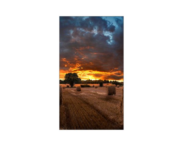 Samsung VMB Series 46" Full HD Ultra Narrow Bezel Video Wall Monitor, IPS Panel, 8ms Response Time, Black – LH46VMBUBGBXUE - Image 2