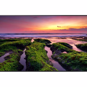 Samsung 65 Inch Professional Smart Signage QBB, Quantum Processor 4K, VA Panel, 8ms Response Time, Tizen 6.5 OS, Black, LH65QBBEBGCXEN